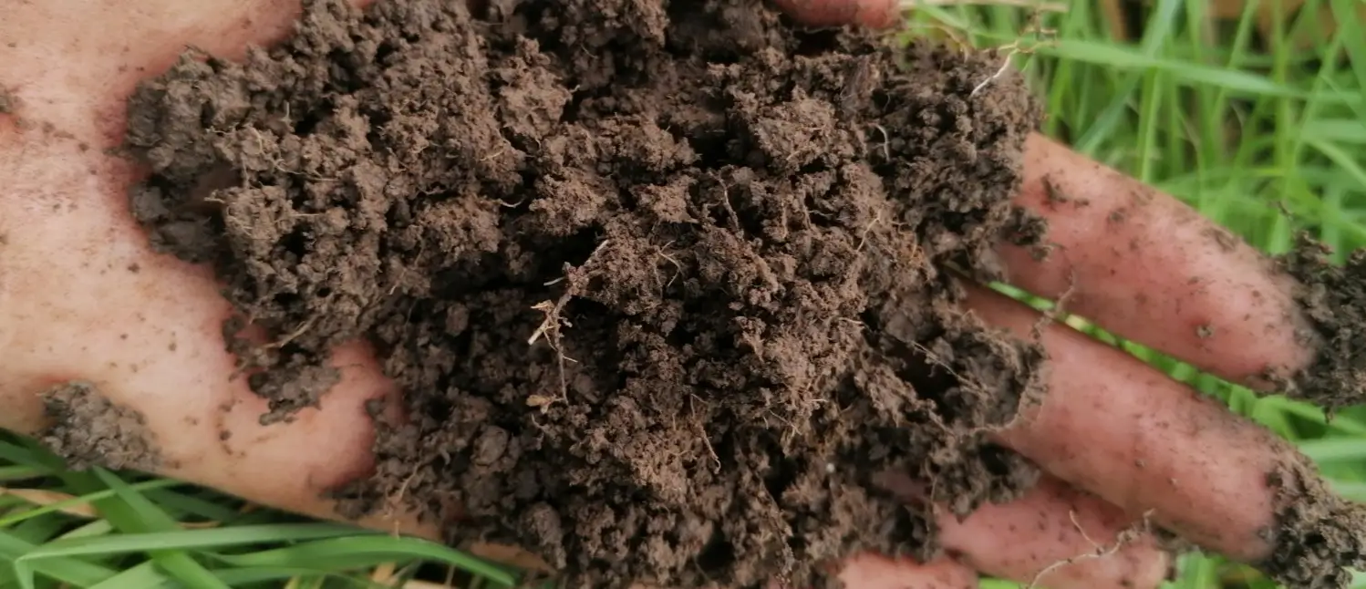 FAI Farms consultant checking soil used in FAI Academy to promote online training on regenerative agriculture.