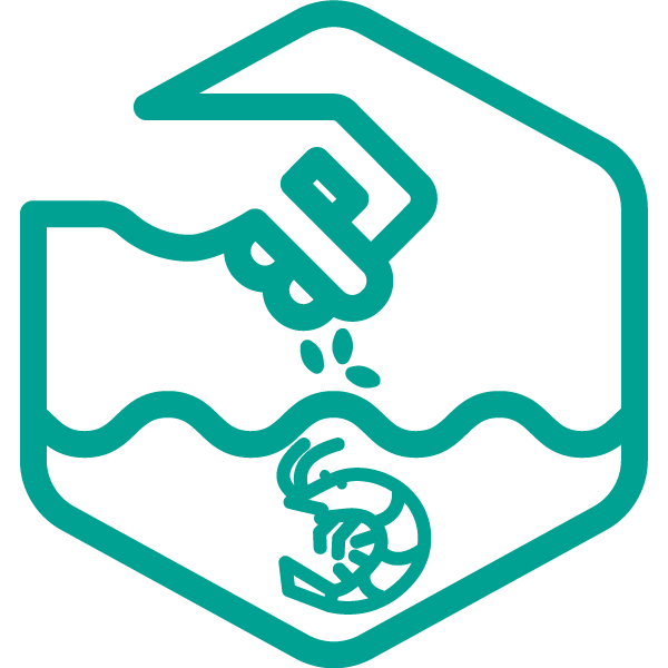 Shrimp Hub Nutritional Welfare Indicator icon showing a hand feeding a shrimp in pond.